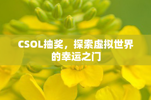 探索虚拟世界的幸运之门图片