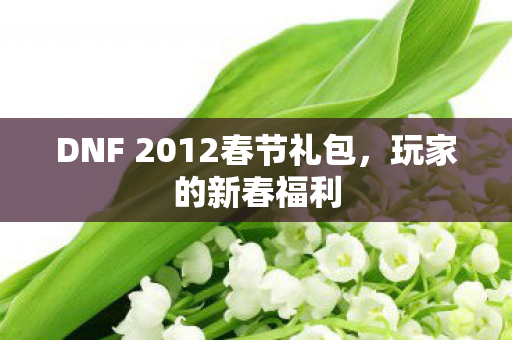 DNF 2012春节礼包图片