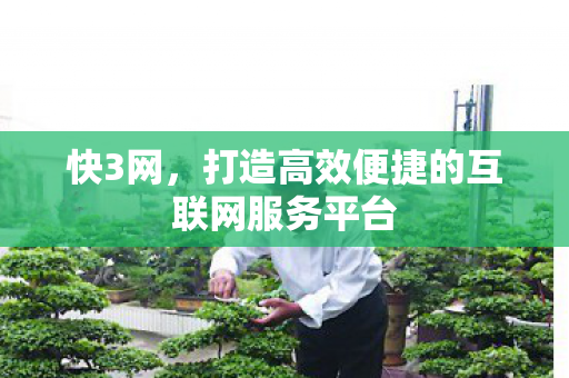 打造高效便捷的互联网服务平台图片