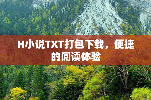 H小说TXT打包下载图片