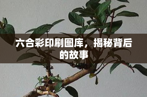 六合彩印刷图库图片