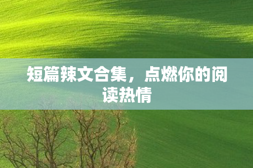 点燃你的阅读热情图片