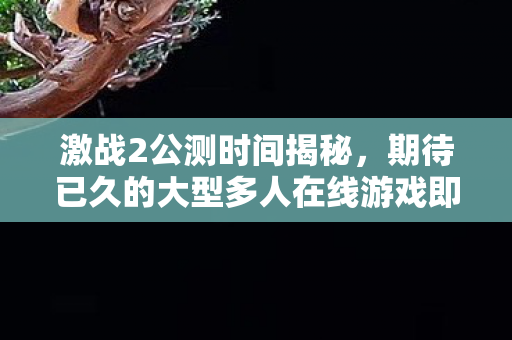 期待已久的大型多人在线游戏即将开启图片
