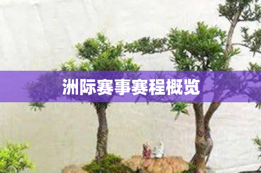 洲际赛事赛程概览图片