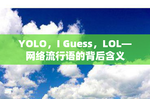 网络流行语的背后含义图片