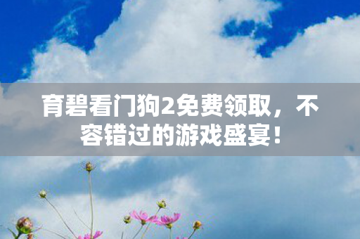 育碧看门狗2免费领取图片