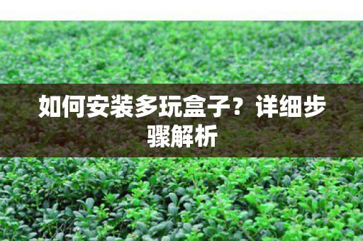 如何安装多玩盒子图片