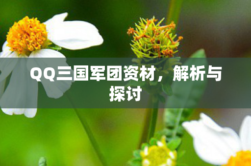 QQ三国军团资材图片