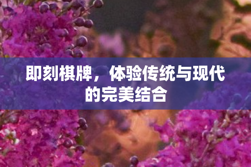 体验传统与现代的完美结合图片