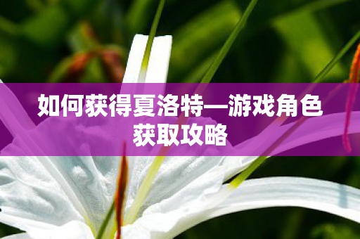 游戏角色获取攻略图片