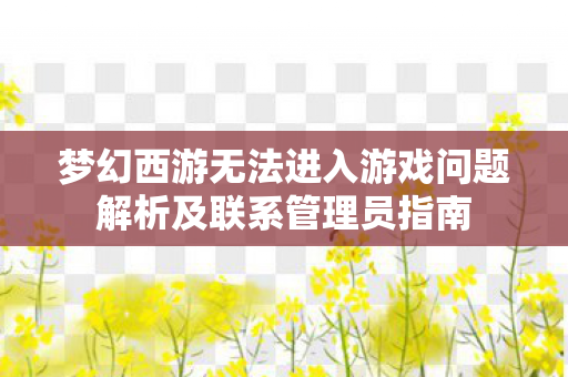 梦幻西游无法进入游戏问题解析及联系管理员指南图片