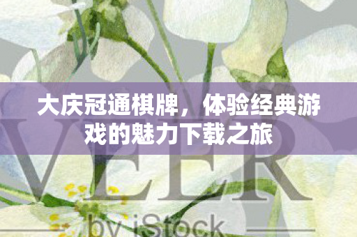 体验经典游戏的魅力下载之旅图片