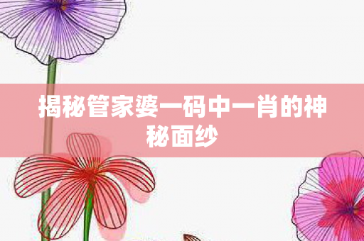 揭秘管家婆一码中一肖的神秘面纱图片