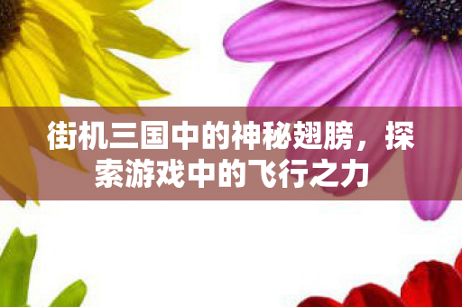 街机三国中的神秘翅膀图片
