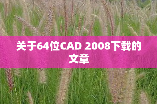 关于64位CAD 2008下载的文章图片