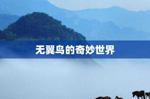 无翼鸟的奇妙世界图片