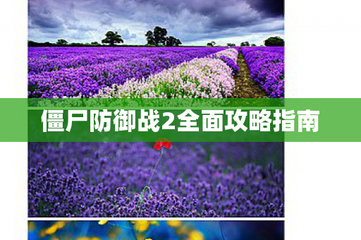 僵尸防御战2全面攻略指南图片