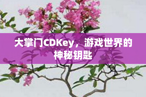 游戏世界的神秘钥匙图片