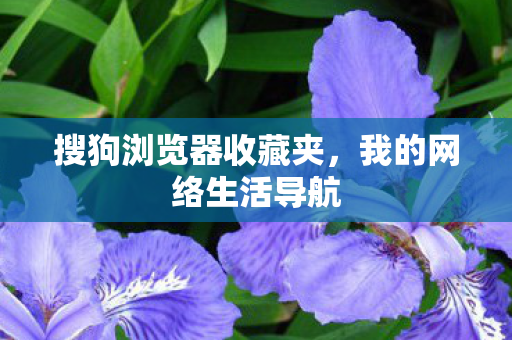 搜狗浏览器收藏夹图片