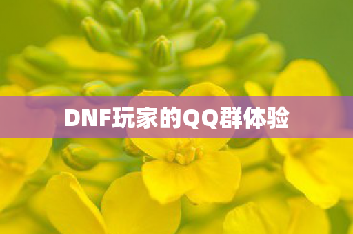 DNF玩家的QQ群体验图片