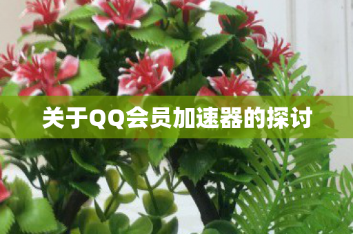 关于QQ会员加速器的探讨图片