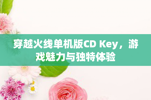穿越火线单机版CD Key图片