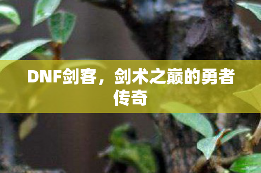 剑术之巅的勇者传奇图片