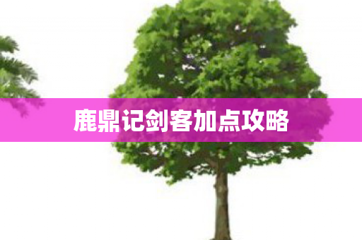 鹿鼎记剑客加点攻略图片