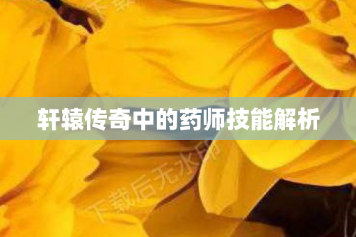 轩辕传奇中的药师技能解析图片