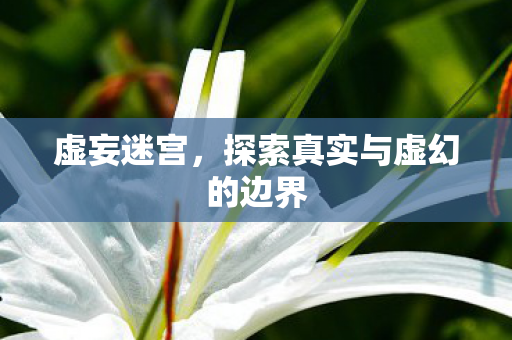 探索真实与虚幻的边界图片