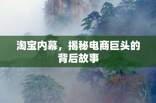 揭秘电商巨头的背后故事图片