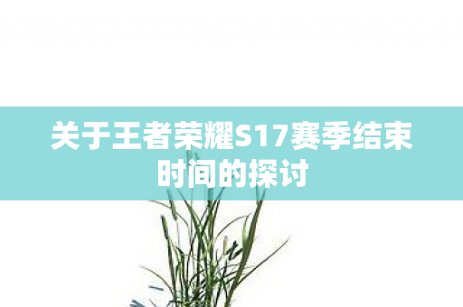 关于王者荣耀S17赛季结束时间的探讨图片