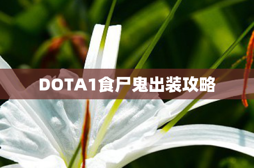 DOTA1食尸鬼出装攻略图片