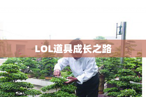 LOL道具成长之路图片