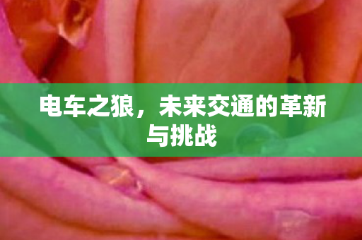 未来交通的革新与挑战图片