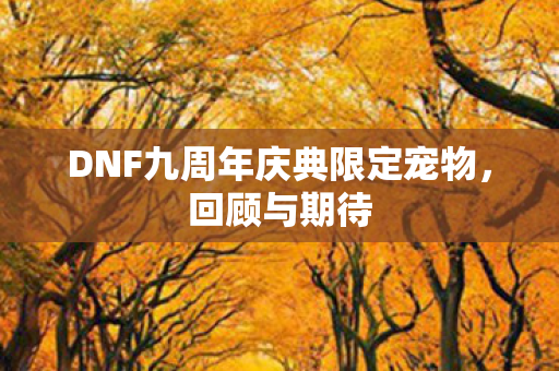 DNF九周年庆典限定宠物图片