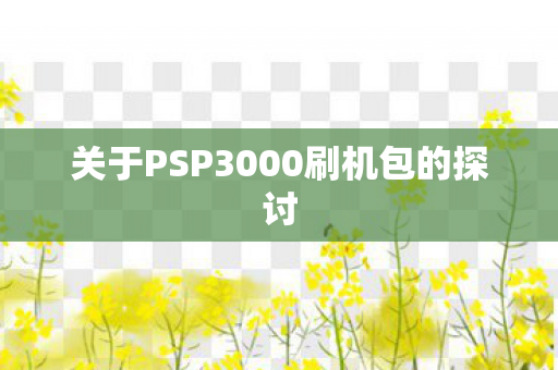 关于PSP3000刷机包的探讨图片