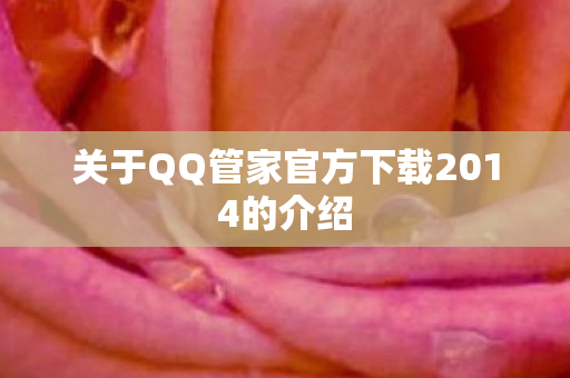 关于QQ管家官方下载2014的介绍图片