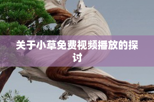 关于小草免费视频播放的探讨图片