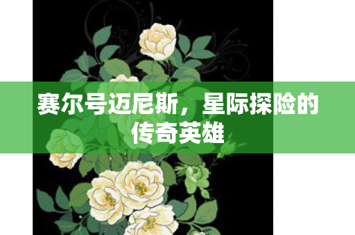 星际探险的传奇英雄图片