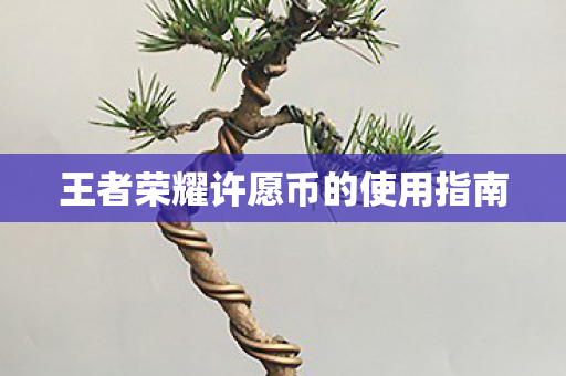 王者荣耀许愿币的使用指南图片
