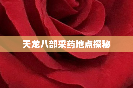 天龙八部采药地点探秘图片