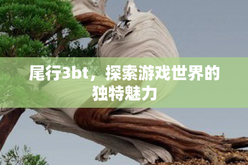 探索游戏世界的独特魅力图片