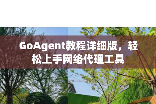 GoAgent教程详细版图片