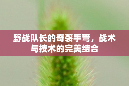 战术与技术的完美结合图片