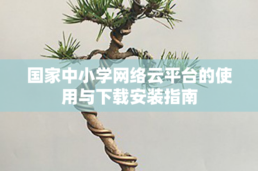国家中小学网络云平台的使用与下载安装指南图片