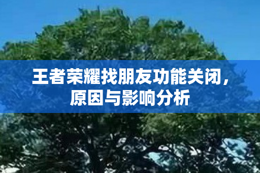 王者荣耀找朋友功能关闭图片