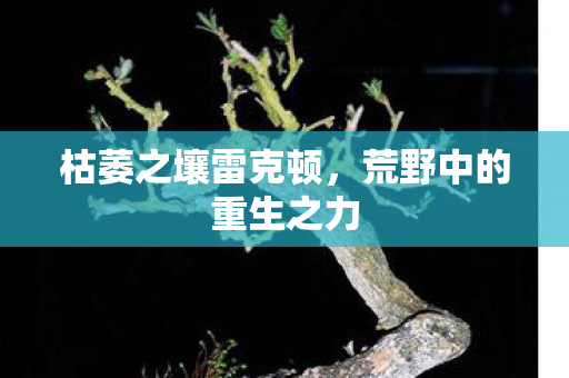 荒野中的重生之力图片