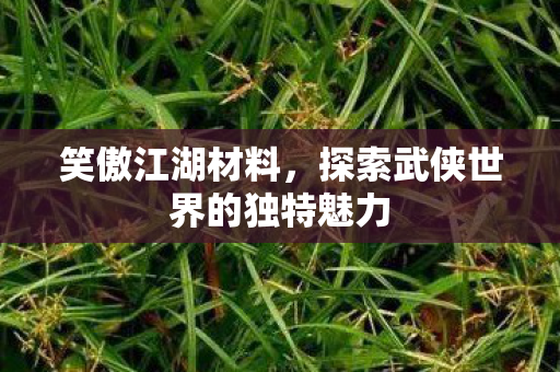 探索武侠世界的独特魅力图片