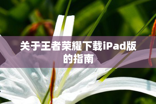 关于王者荣耀下载iPad版的指南图片